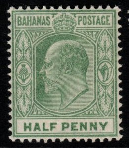 BAHAMAS SG71 1906 ½d PALE GREEN MTD MINT