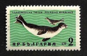 Bulgaria 1961 - M - Scott #1164