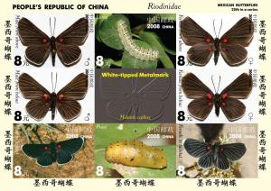 CHINA SHEET IMPERF CINDERELLA BUTTERFLIES INSECTS