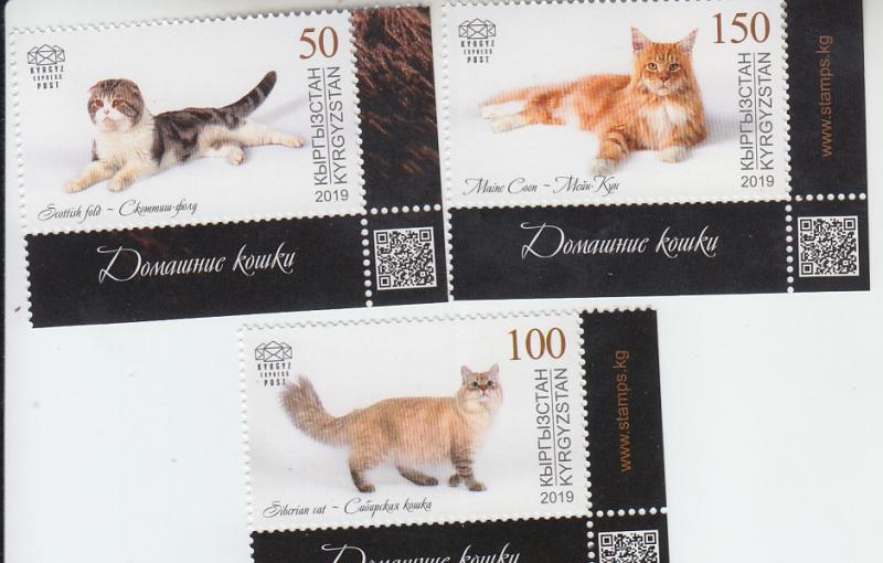 2019 Kyrgyzstan KEP Domestic Cats (3) (Scott 110-12) MNH