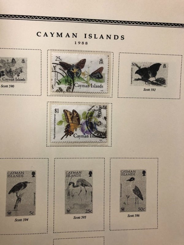 CAYMAN ISLANDS – 423901