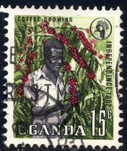 Coffee Growing, Uganda stamp SC#85 used