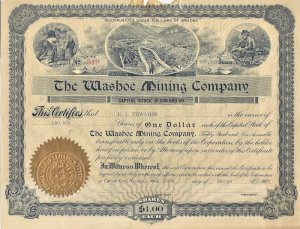 1907 - Washoe Mining Company Stock - Ephemera 1136