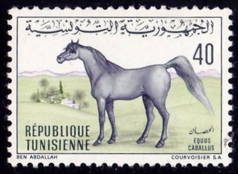 Tunisia Scott 520 Arabian Horse 1969 issue MNH