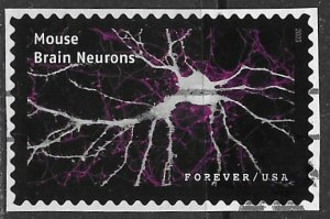 US ~ Scott # 5802j ~ Used on paper ~ Mouse Brain Neurons