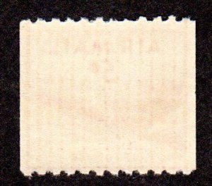 USA, Scott # C37, Mint Never Hinged CV = $ 1.00 Lot 230714-01