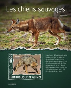 Guinea 2019 MNH Wild Animals Stamps Wild Dogs Culpeo Ethiopian Wolf 1v S/S