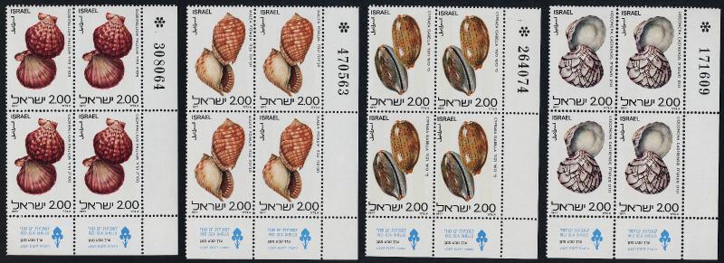 Israel 678-81 BR Blocks MNH Red Sea Shells