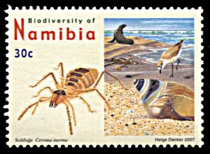 Namibia 1106, MNH, Biodiversity, Camel Spider