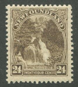NEWFOUNDLAND #144 MINT