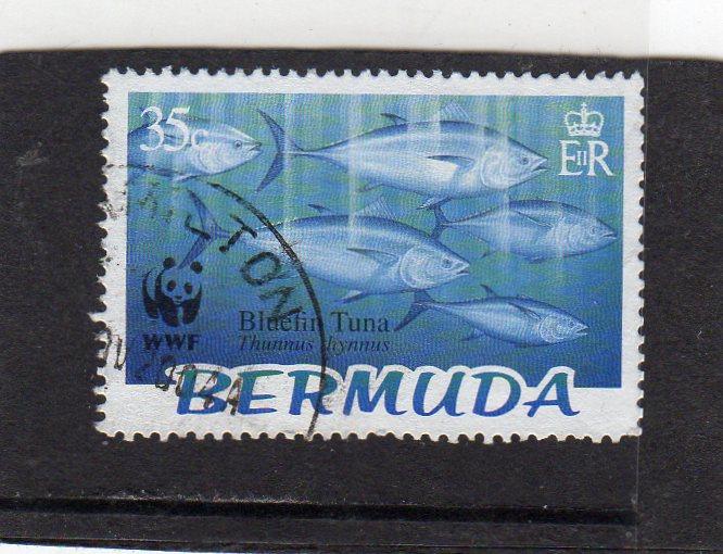 Bermuda Fish used