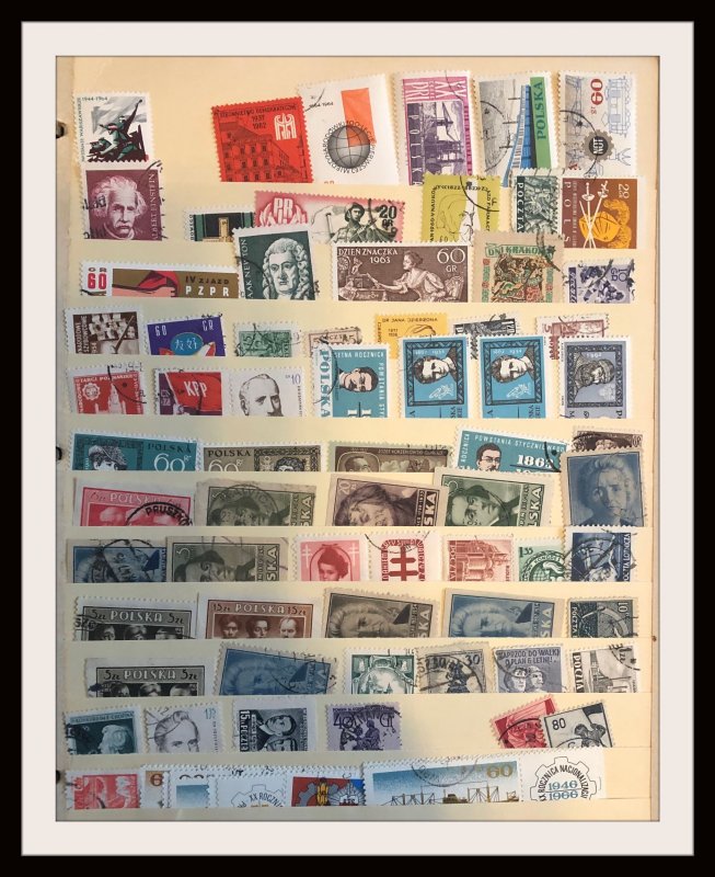 Medium Size Foreign Accumulation