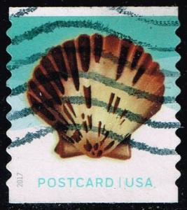 US #5170 Pacific Calico Scallop; Used (0.25)