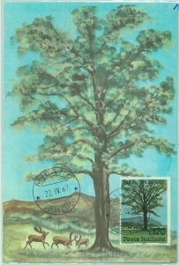 68684 - ITALY - Postal History - MAXIMUM CARD 1967 - NATURE: Trees 