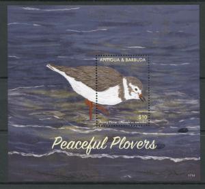 Antigua & Barbuda 2017 MNH Peaceful Plovers Piping Plover 1v S/S Birds Stamps