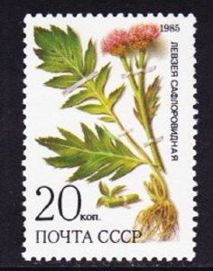 Russia 5382 Medicinal Plants MNH Single