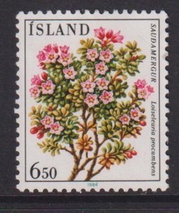 Iceland  #593  used  1984  flowers   6.50k