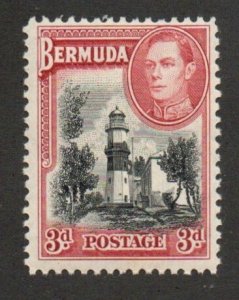 Bermuda 121 Mint never hinged