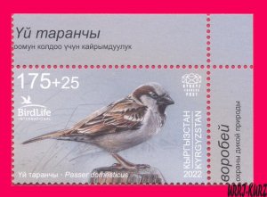 KYRGYZSTAN 2022-2023 Nature Fauna Bird of Year House Sparrow 1v Mi KEP 188 MNH