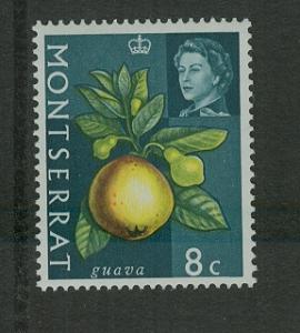 Montserrat 1965 8c guava, MLH