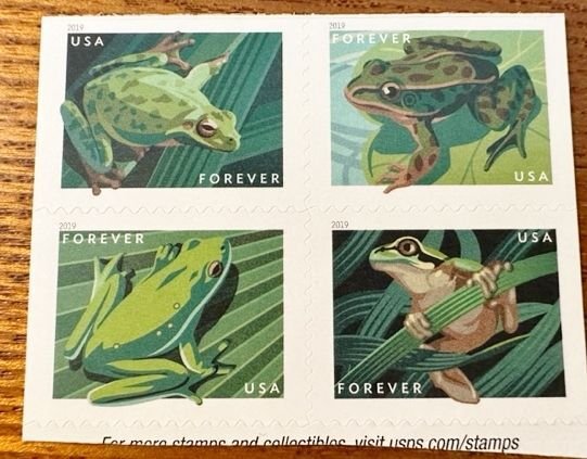 US 5398a Frogs forever 21019 block of 4 Mint NH