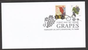 US 5177 Grapes Botanical Art Stocks BWP FDC 2017