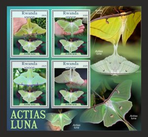 Stamps.Fauna, Butterflies  2025 year 8 sheets perforated