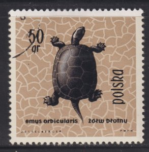 Poland 1136 European Pond Turtle 1963