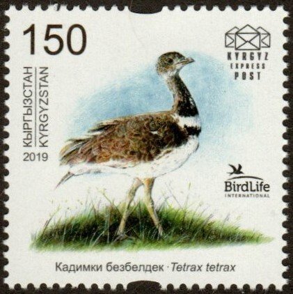 Kyrgystan sw1226 - Mint-NH - 150s Little Bustard (2019) (cv $8.70)