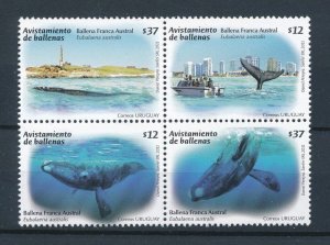 [111192] Uruguay 2011 Marine life Southern right whale watching  MNH