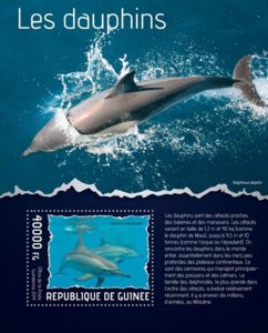 Guinea 2014 Dolphin Facts Mammals of the Sea Stamp Souvenir Sheet7B-2340