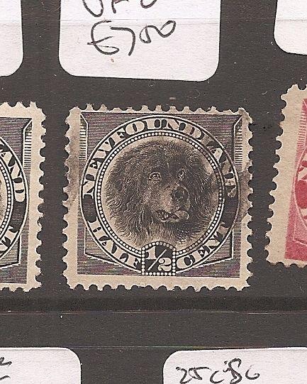 Newfoundland 1894 1/2c Dog SG 59 VFU (1awe)