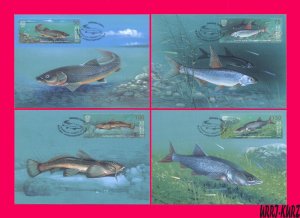 KYRGYZSTAN 2021 Nature Fauna Freshwater River Lake Fish 4 Maxicards Maximum Card