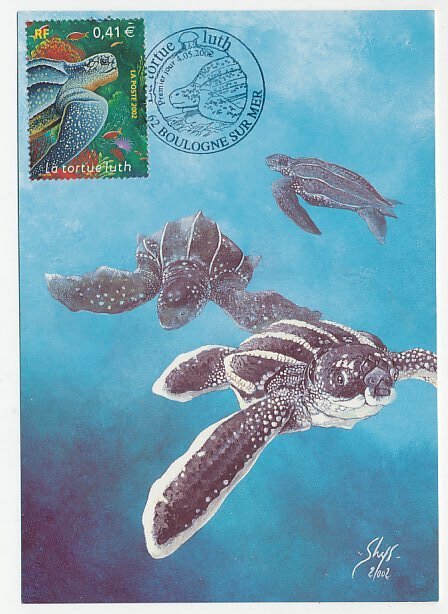 Maximum card France 2002 Turtle