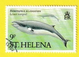 St. HELENA SCOTT#483 1987 9p LESSER RORQUAL WHALE - USED