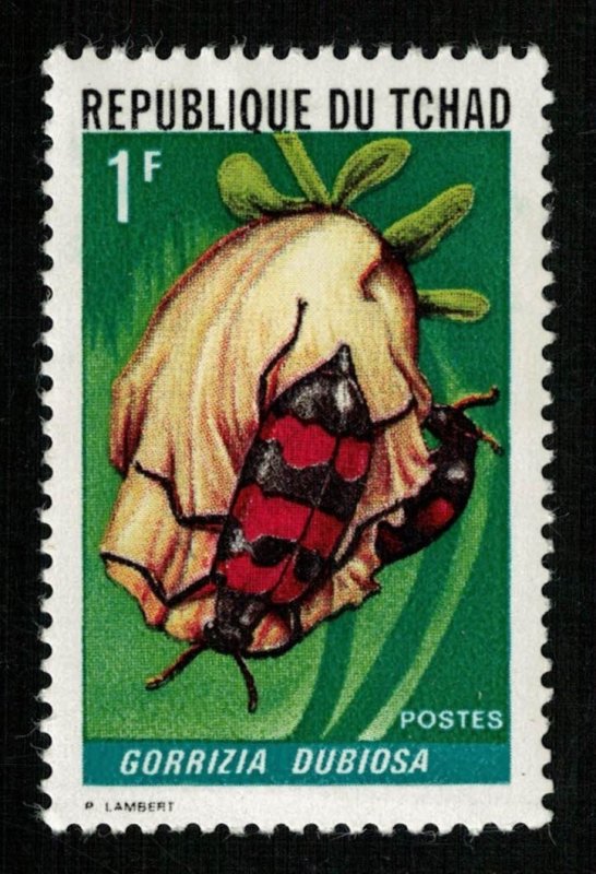 Beetle (TS-2056)