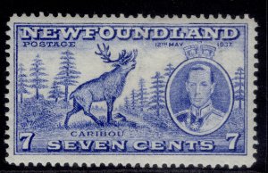 CANADA - Newfoundland GVI SG259, 7c bright ultramarine, M MINT.