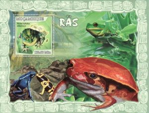 Mozambique - 2007 Frogs -  Stamp Souvenir Sheet - 13A-065