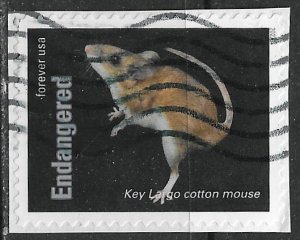 US ~ Scott # 5799h ~ Used on paper ~ Key Largo Cotton Mouse