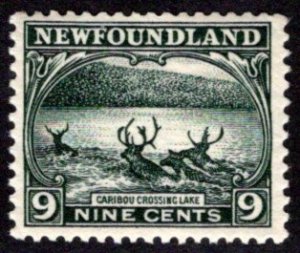 130, NSSC, Newfoundland, 9c, slate green, Caribou Crossing Lake, MNHOG, F, S...