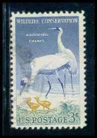 1098 Used Fine D02741