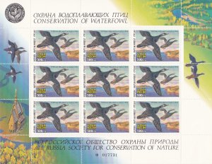 Russia Society for the Conservation of Nature, Duck Stamps Sheet of 9, NH.