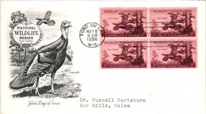 #1077 Wild Turkey Conservation – Artmaster Cachet