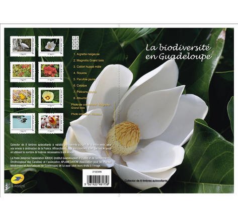 2022 France Biodiversity in Guadeloupe Sheet of 8 (Scott NA) MNH