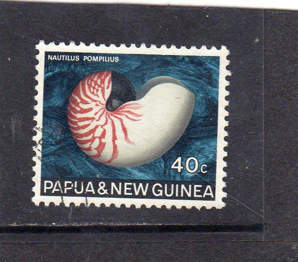 Papua New Guinea Shells used