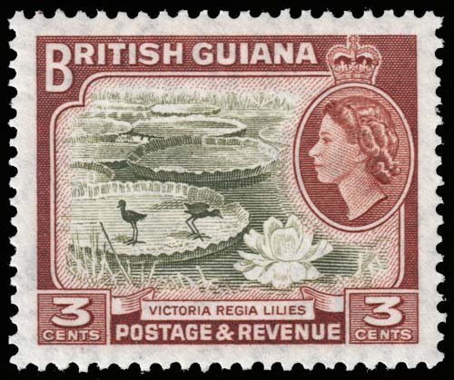 British Guiana - Scott 255 - Mint-Never-Hinged