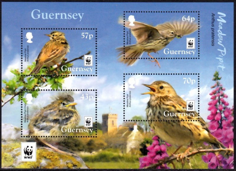 GUERNSEY 2017 WWF BIRDS MEADOW PIPIT OISEAUX VOGEL UCCELLO AVES [#1701]