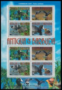 Antigua and Barbuda Birds WWF Caribbean Coot MS 2009 MNH SC#3055a-d