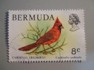 Bermuda #367 used