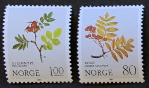Norway 1980 #770-1 MNH. Christmas, plants